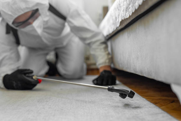 Professional Bed Bug Control technician working in South Lyon, MI